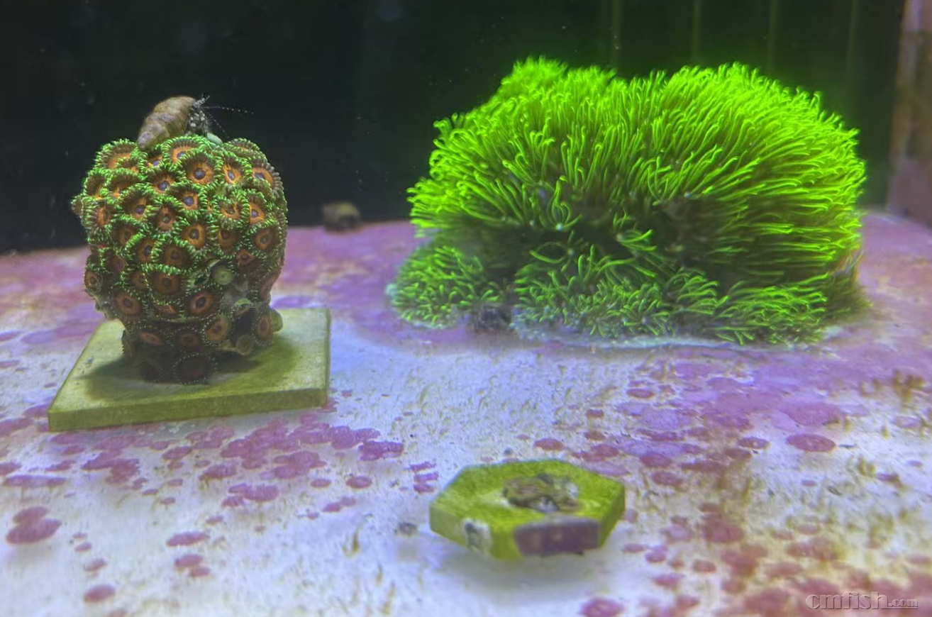 ����2025-08-25 ����1.31.40.png