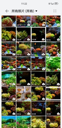Screenshot_20250903_112222_com.huawei.photos.jpg