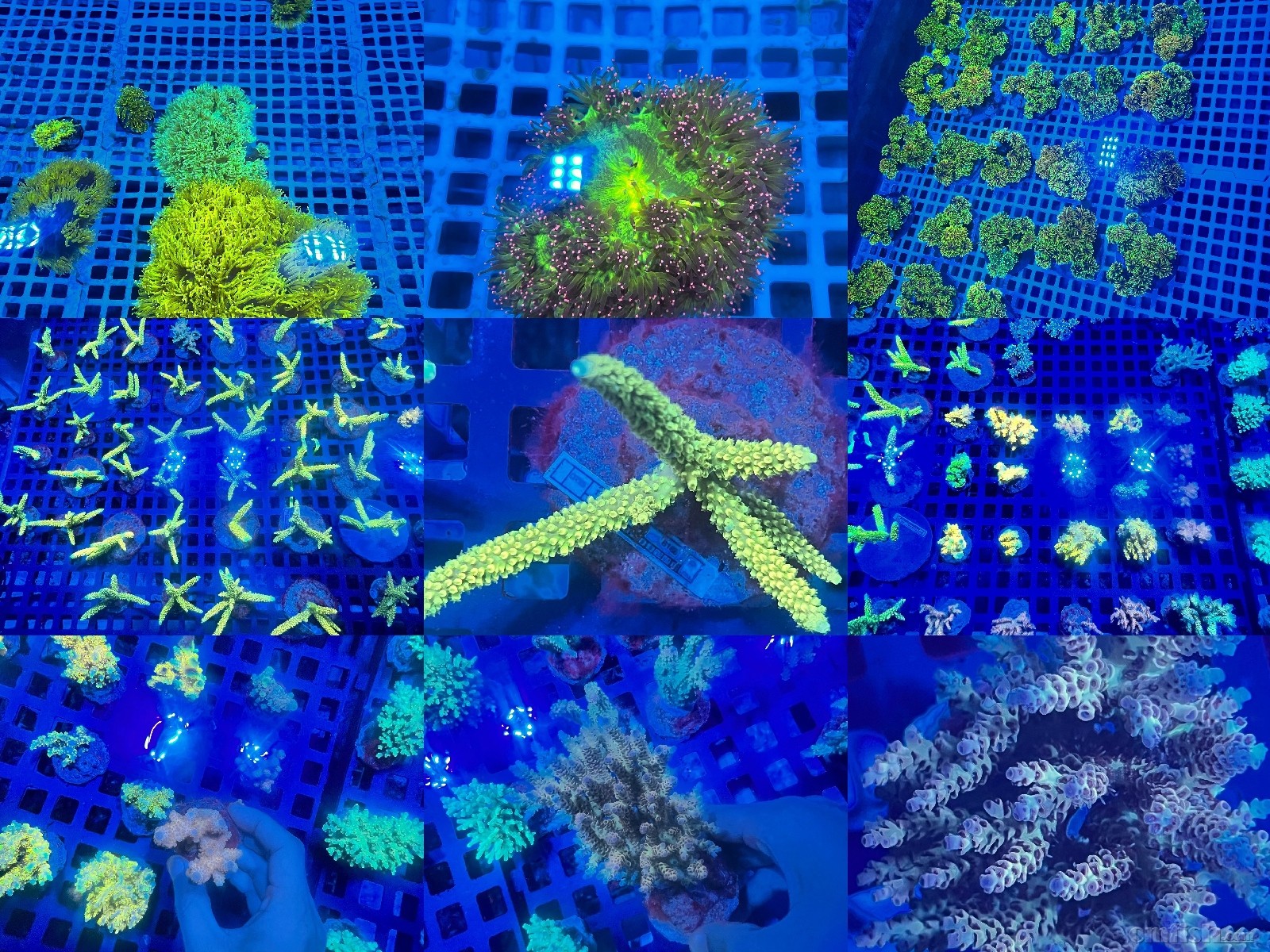 9��9ɺ ��.jpg