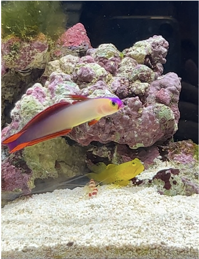 ǹϺ �ƽ�Ϻ�� ���״�.png