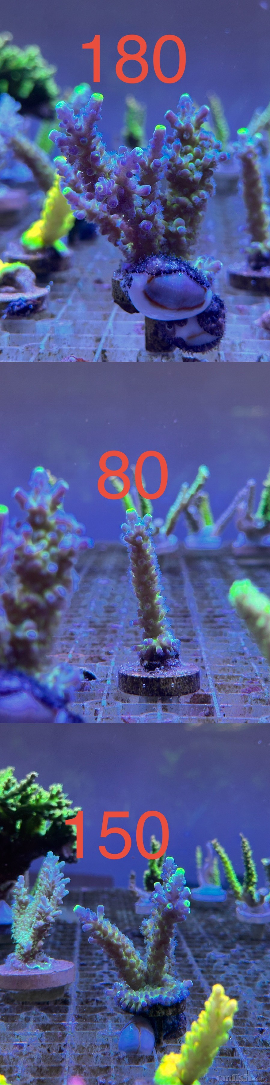 ��ϼ����