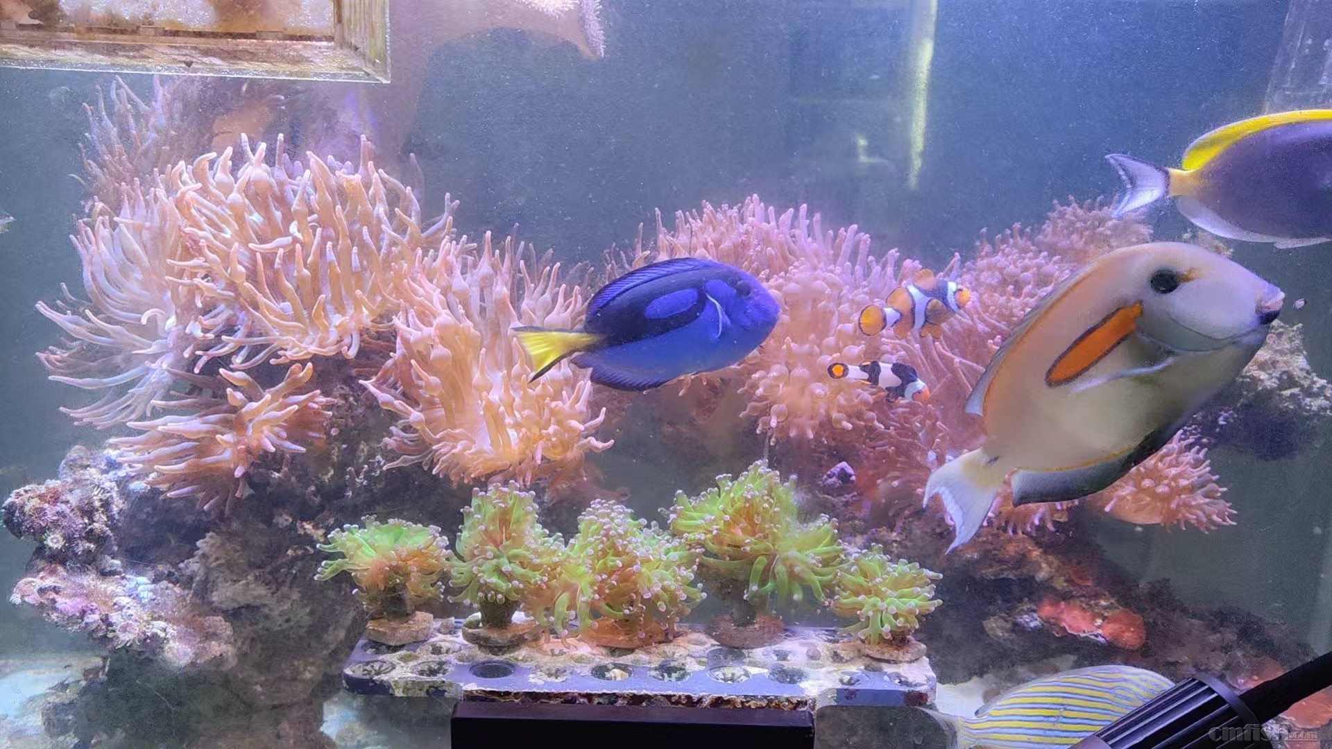 ���� ����1.jpg