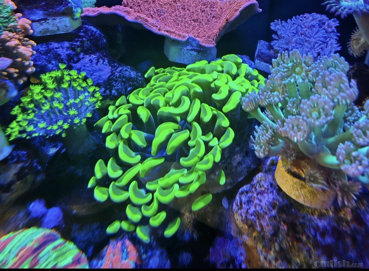 ����-���