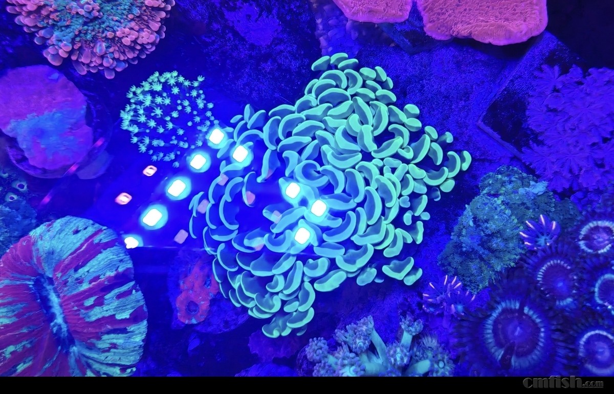 ����-���