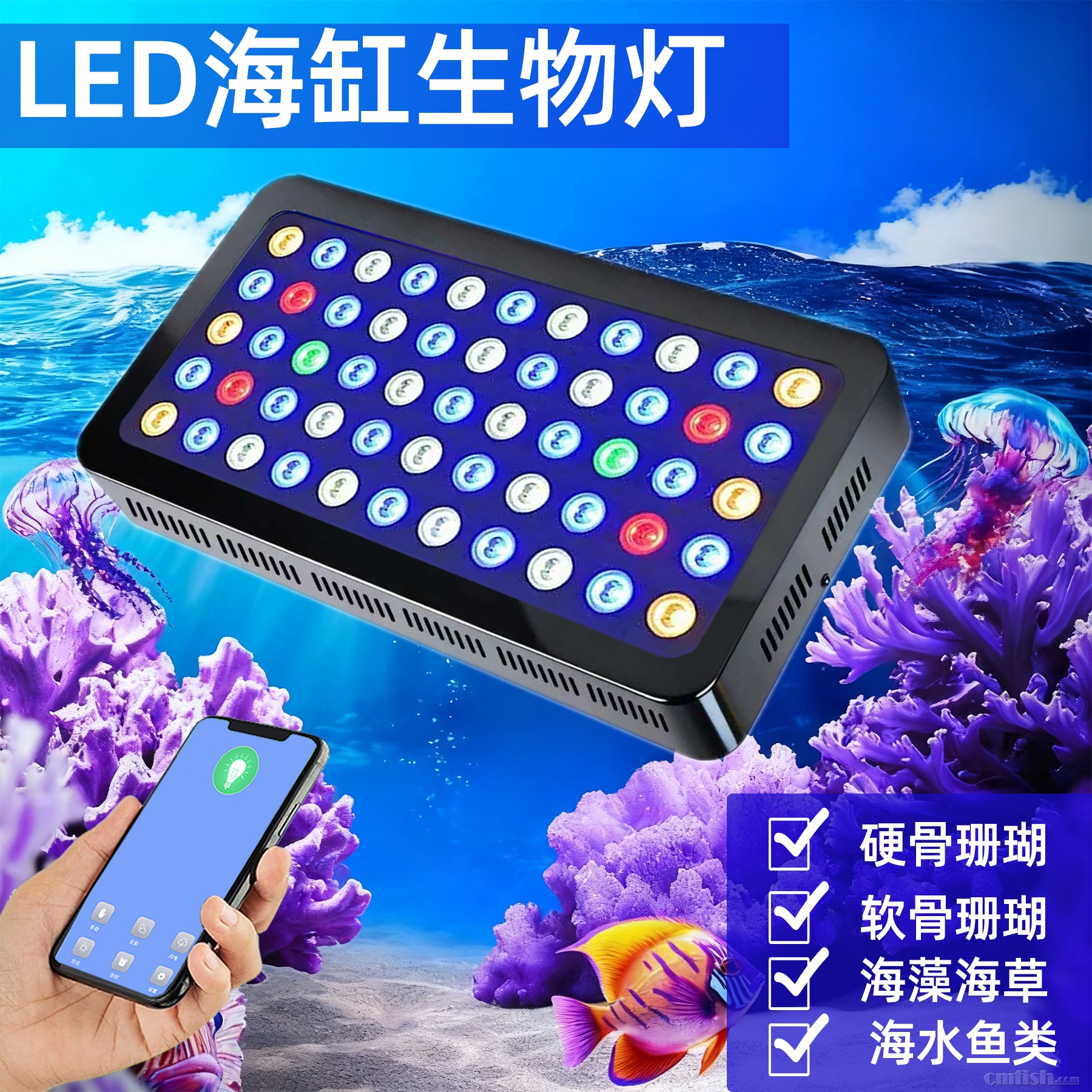 ��ˮ��ɺ ����