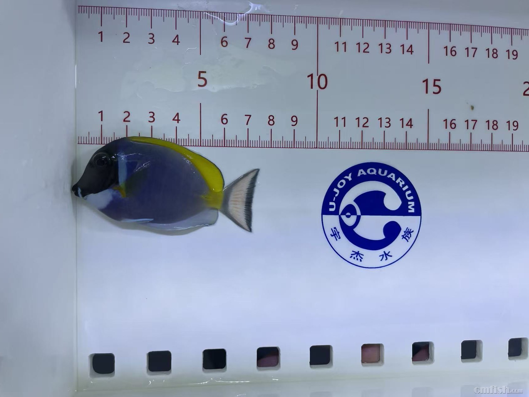 ������ 7cm  ��2025��12��22�գ�-1.jpg