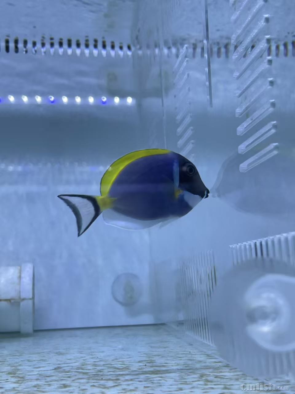 ������ 7cm  ��2025��12��22�գ�-2.jpg