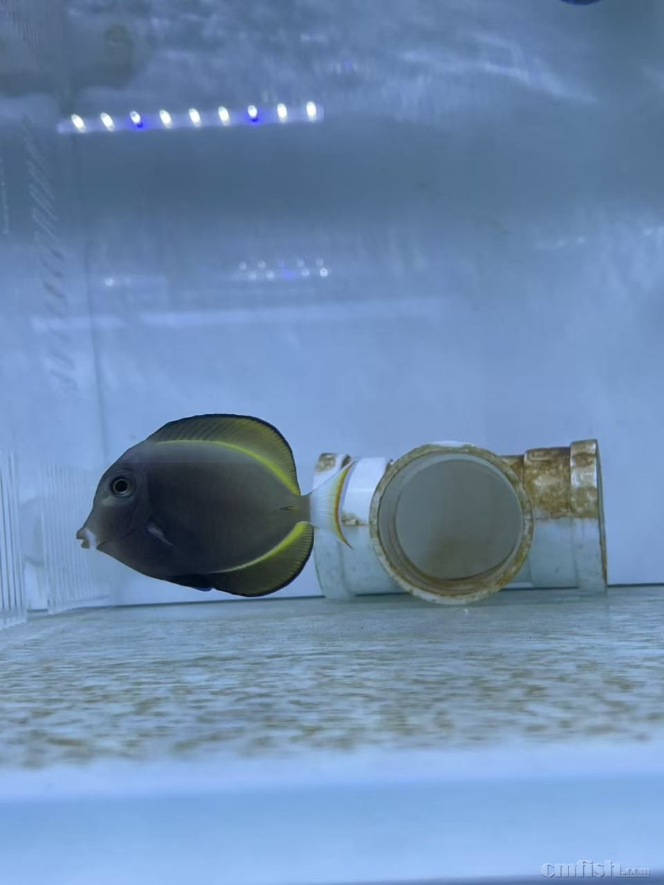 ��ʵ� 7cm  ��2025��12��22�գ�-2.jpg