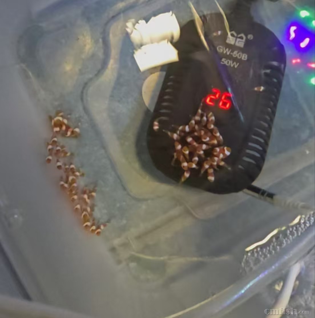 С����2��