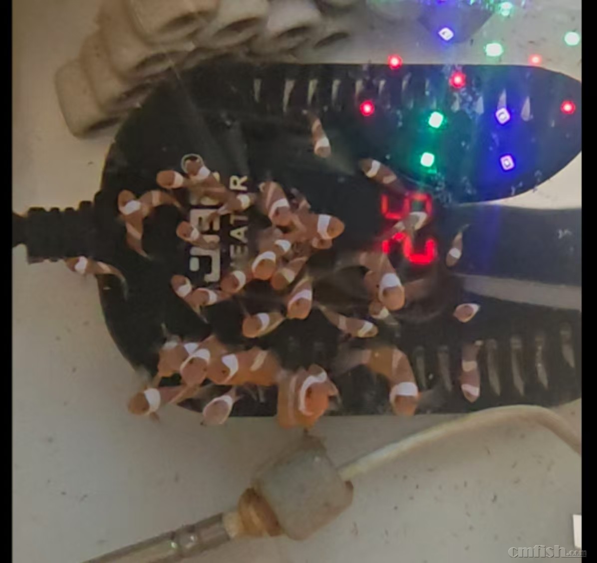 С����1��