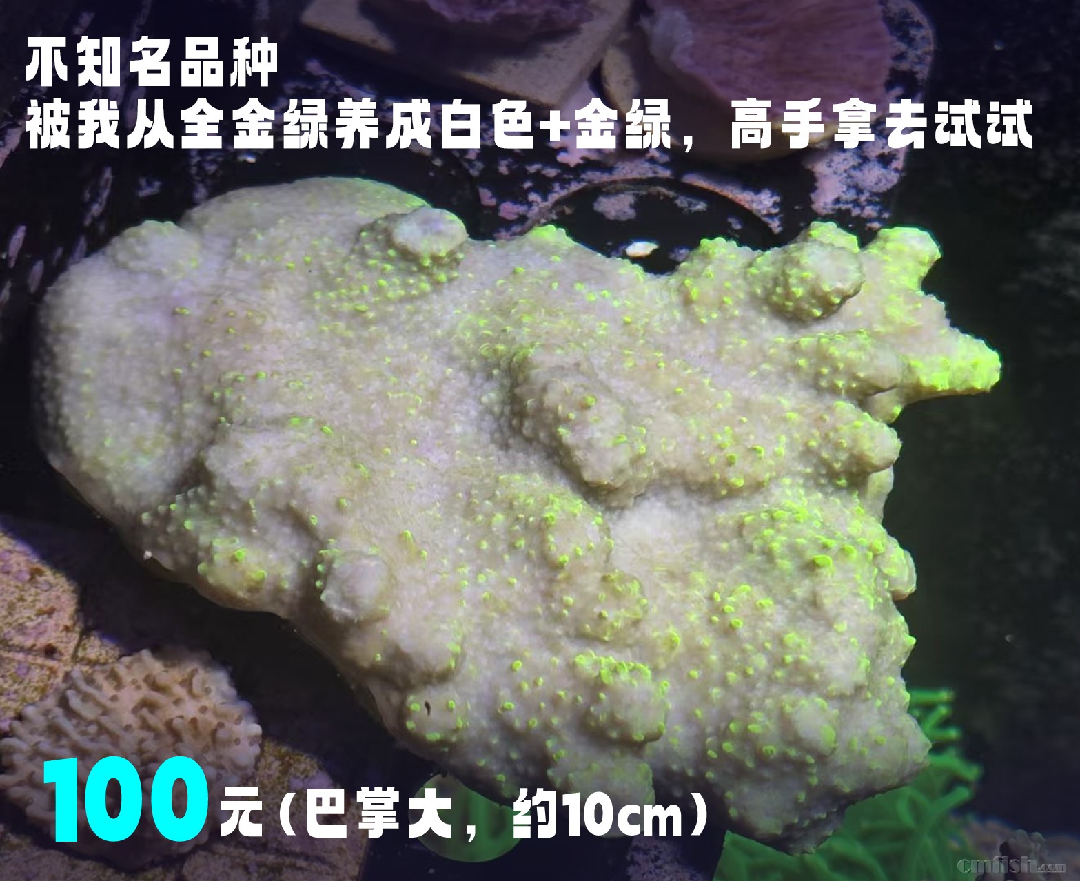 ��֪��Ʒ��