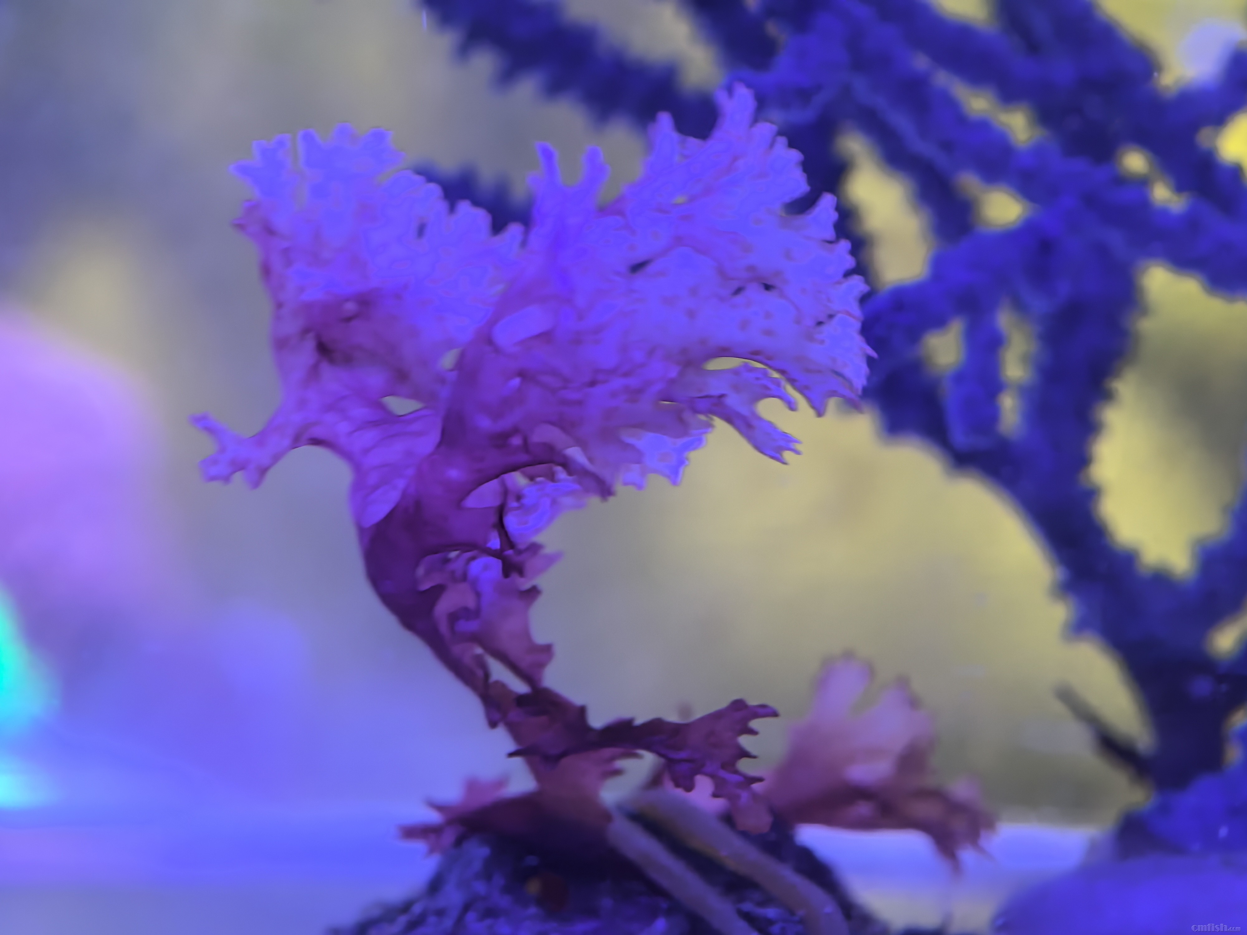 �͵�С����