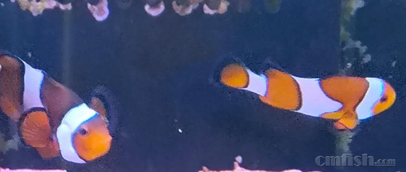 6.PNG