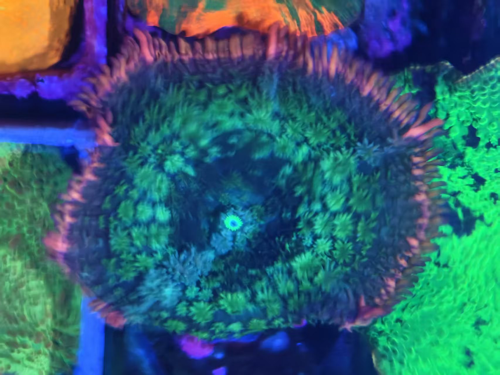 ΢��ͼƬ_20260505152853_117_4.jpg