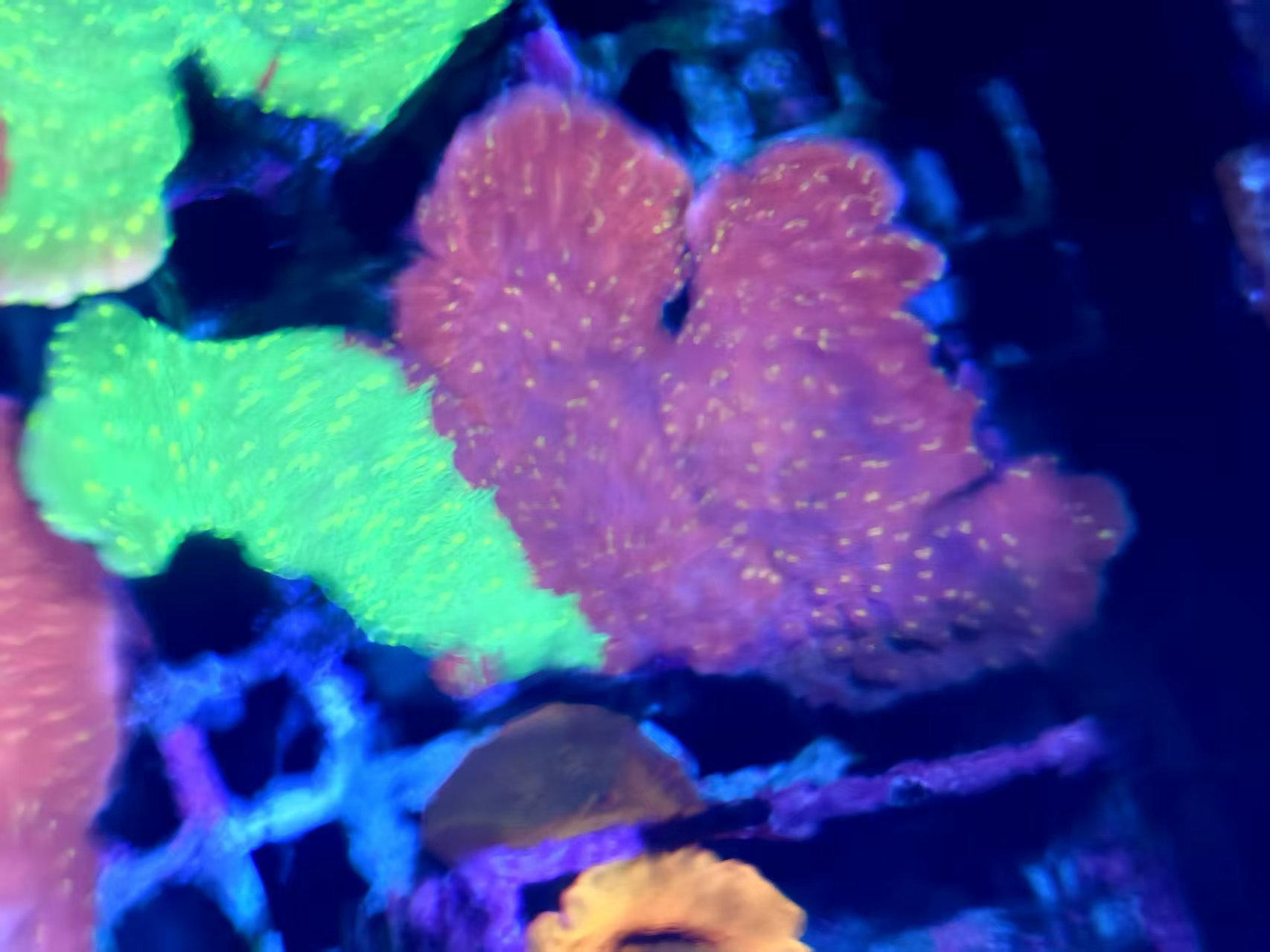 ΢��ͼƬ_20260505152854_118_4.jpg