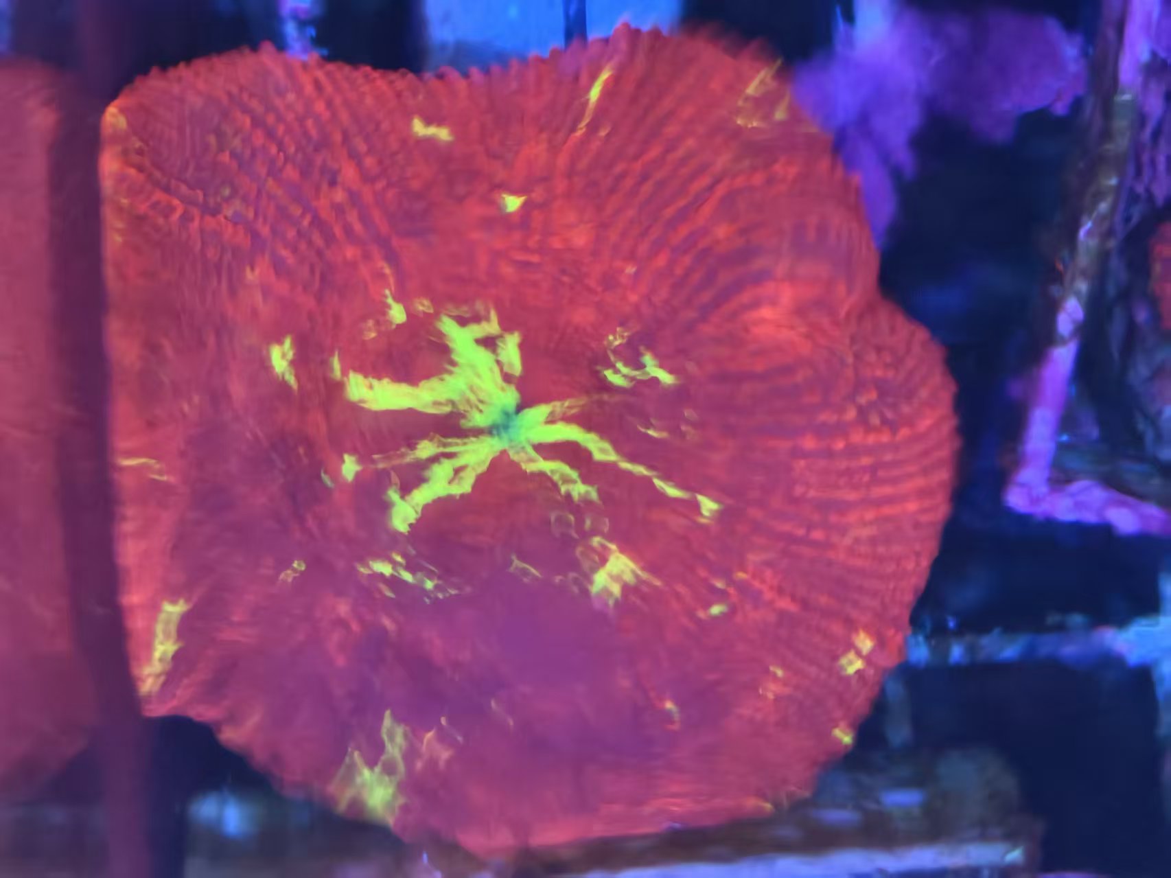 ΢��ͼƬ_20260505152858_122_4.jpg