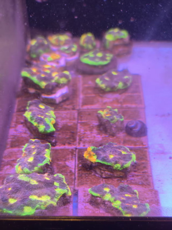 ΢��ͼƬ_20260507162044_140_8.jpg