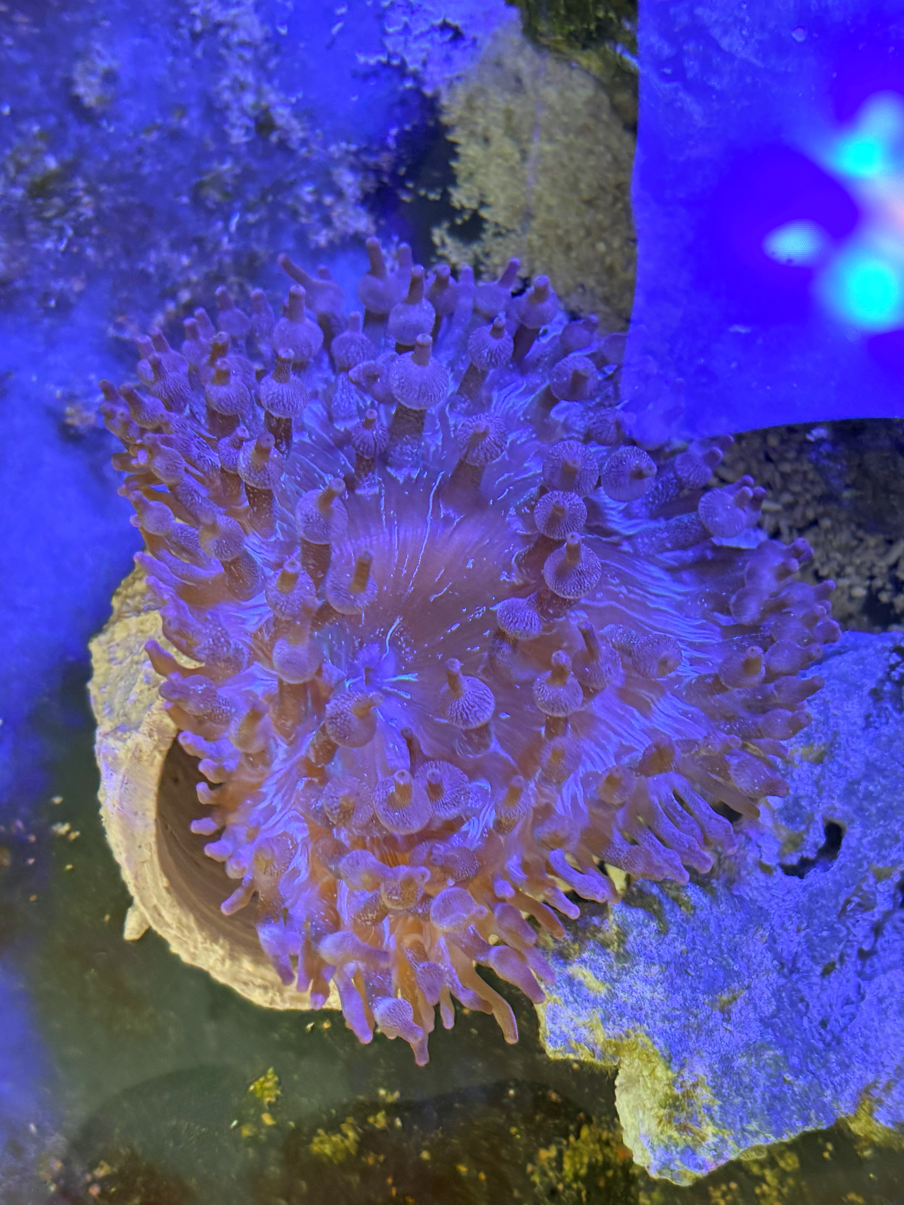 Ұ������  220