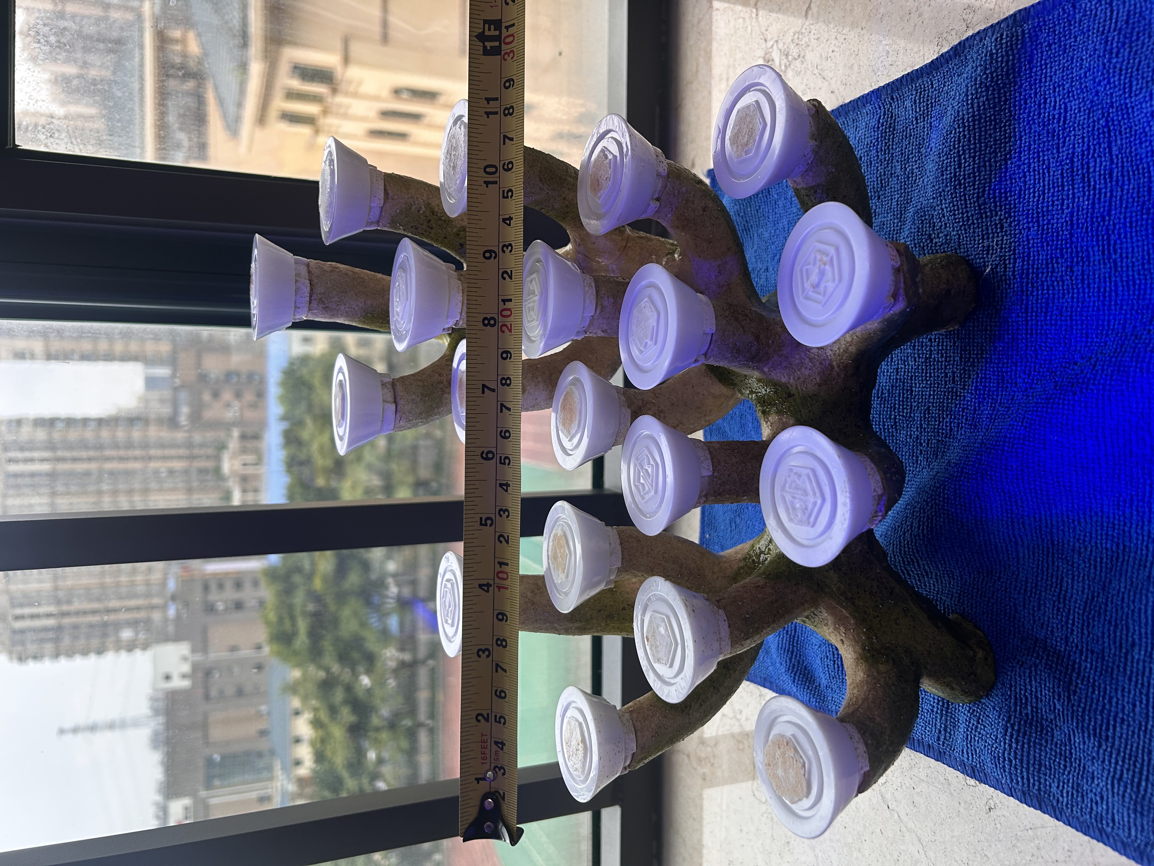 IMG_5174.jpeg