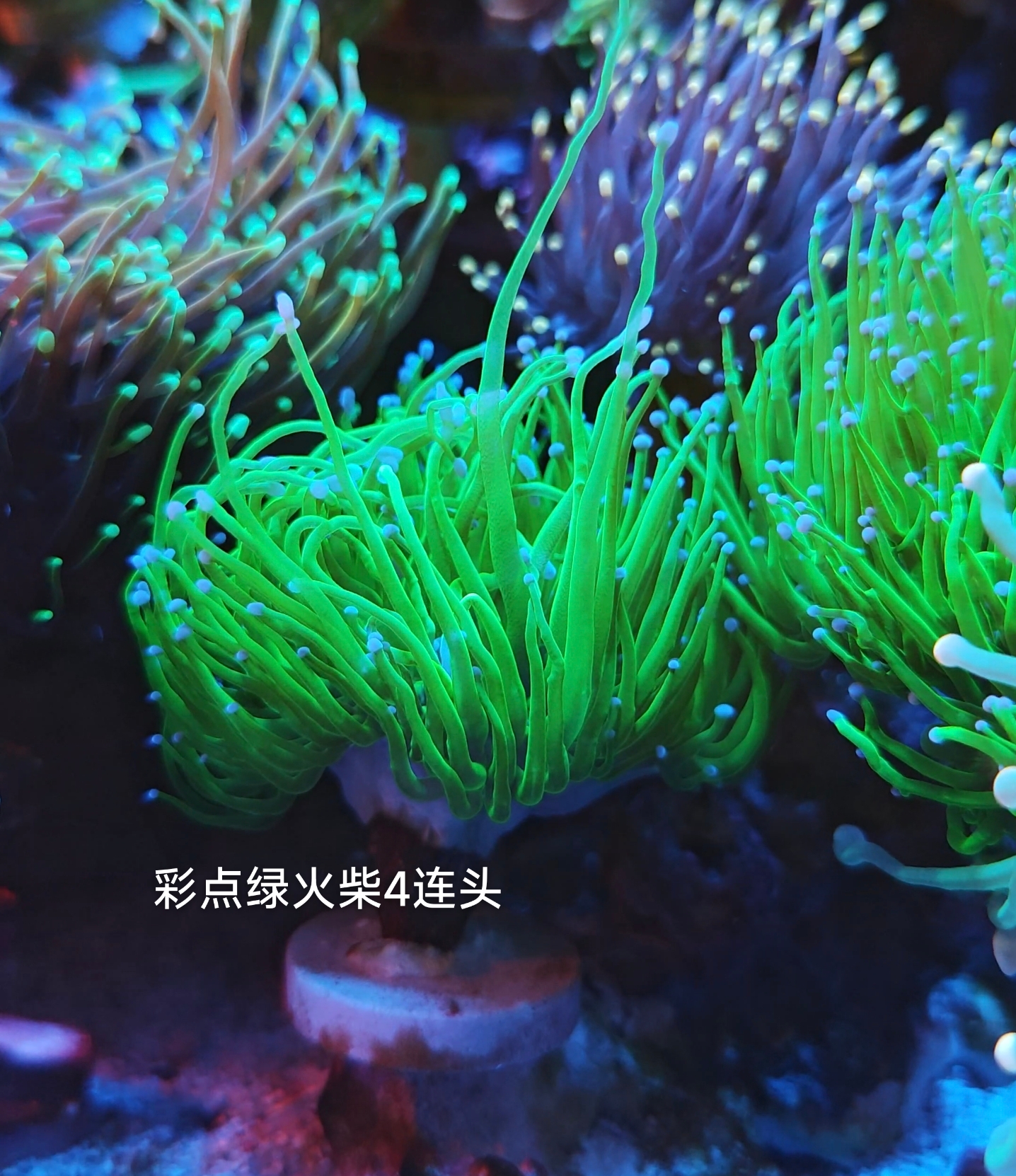 ΢��ͼƬ_20260518105926_50_22.jpg