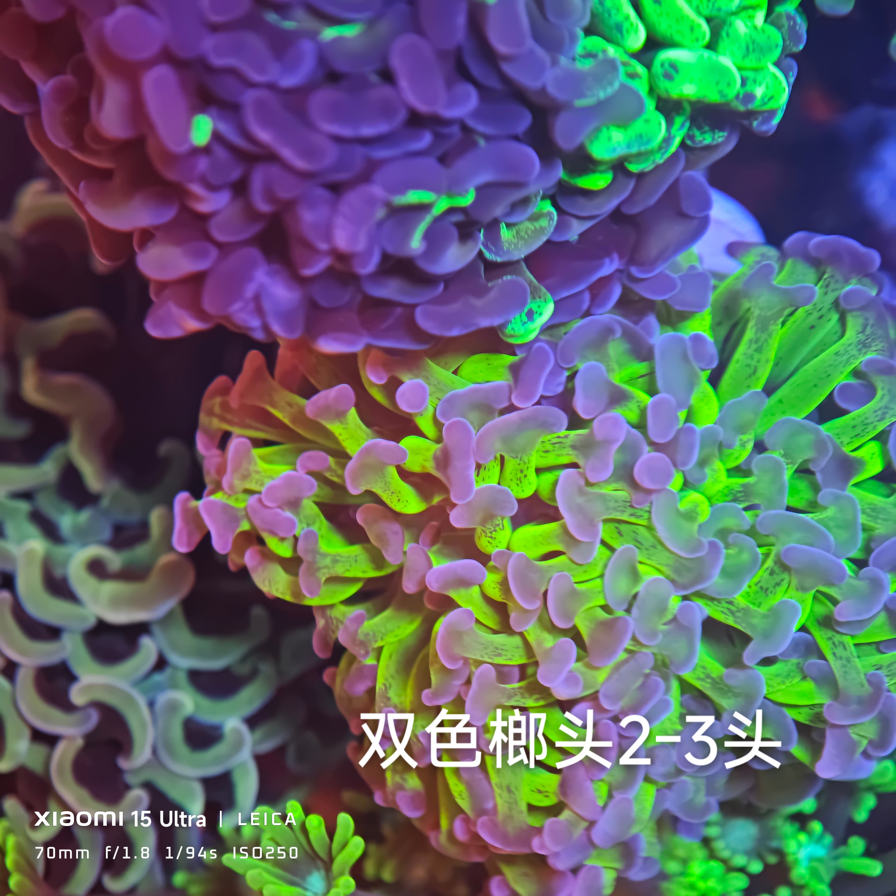 ΢��ͼƬ_20260518110112_51_22.jpg