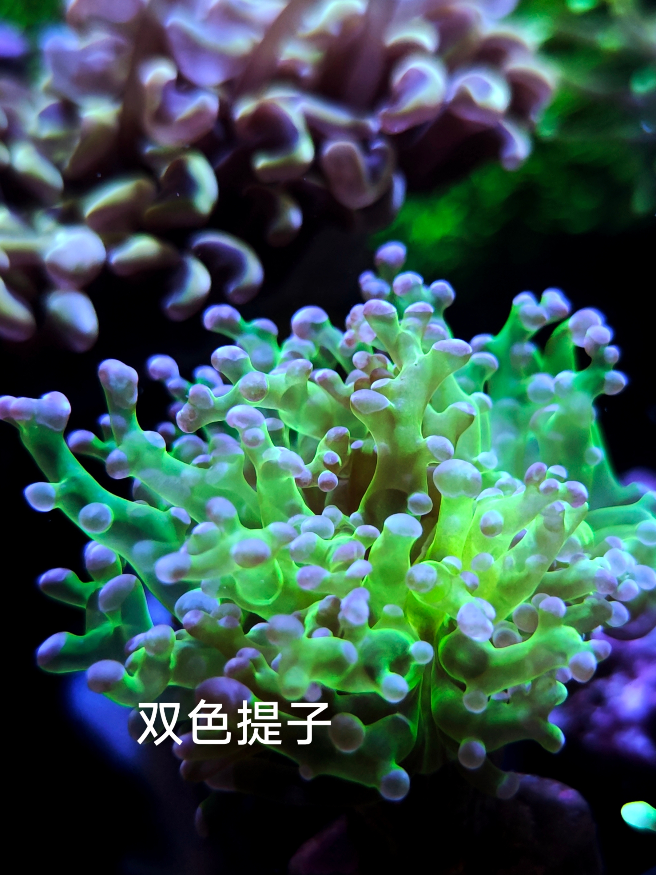 ΢��ͼƬ_20260518111344_54_22.jpg