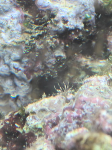 IMG_20260519_215033.jpg
