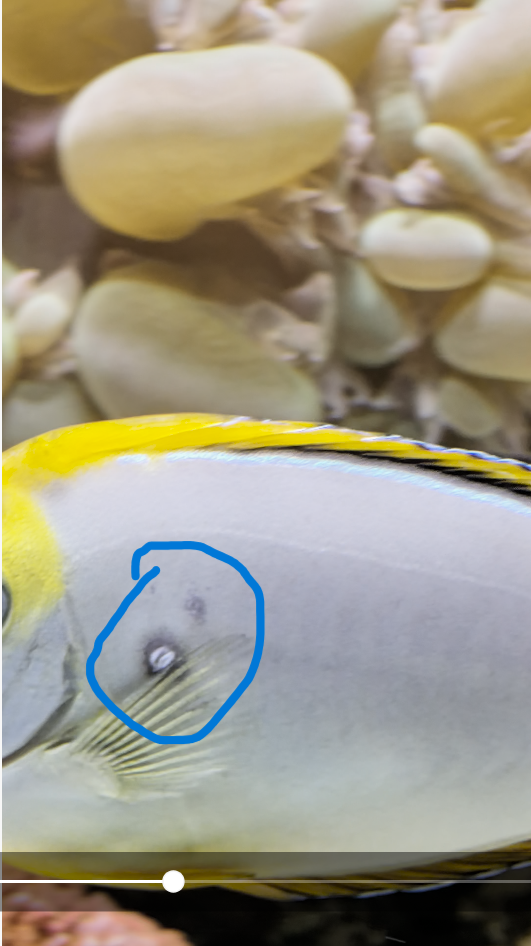 �����ɫ�Ķ�����ʲô��