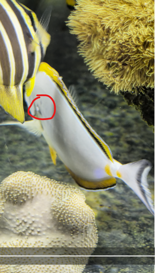 ��Ļ��ͼ 2026-05-24 003909.png