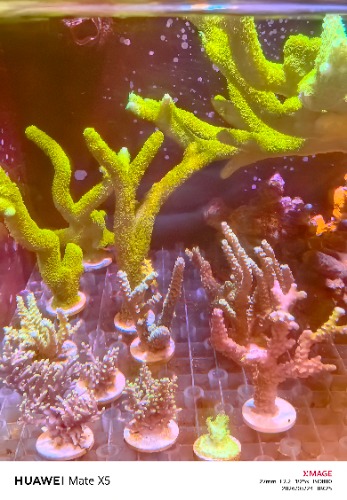 IMG_20260524_092541.jpg