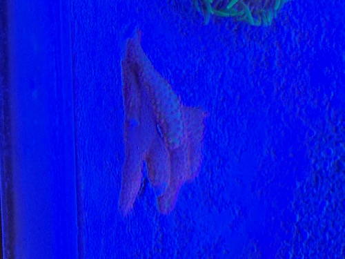 IMG_9069.jpeg