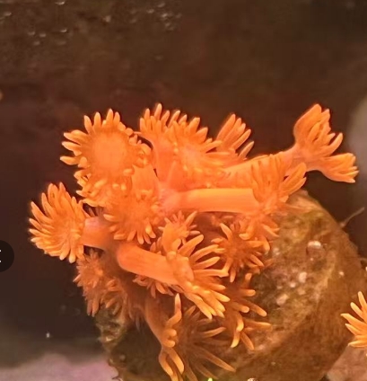 ΢��ͼƬ_20260603095155.jpg