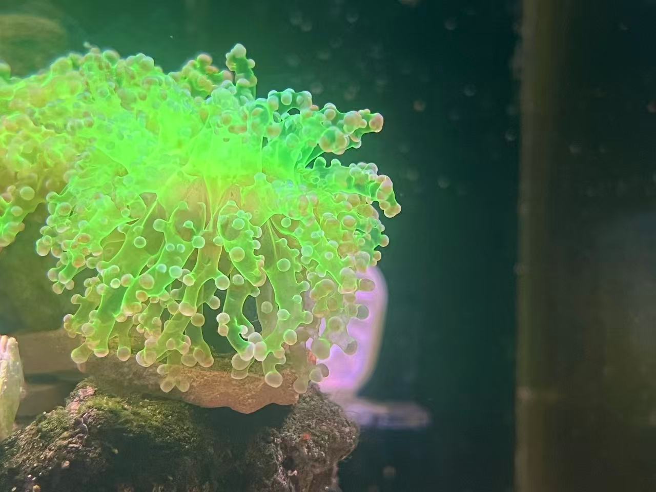 ΢��ͼƬ_20260604080818.jpg