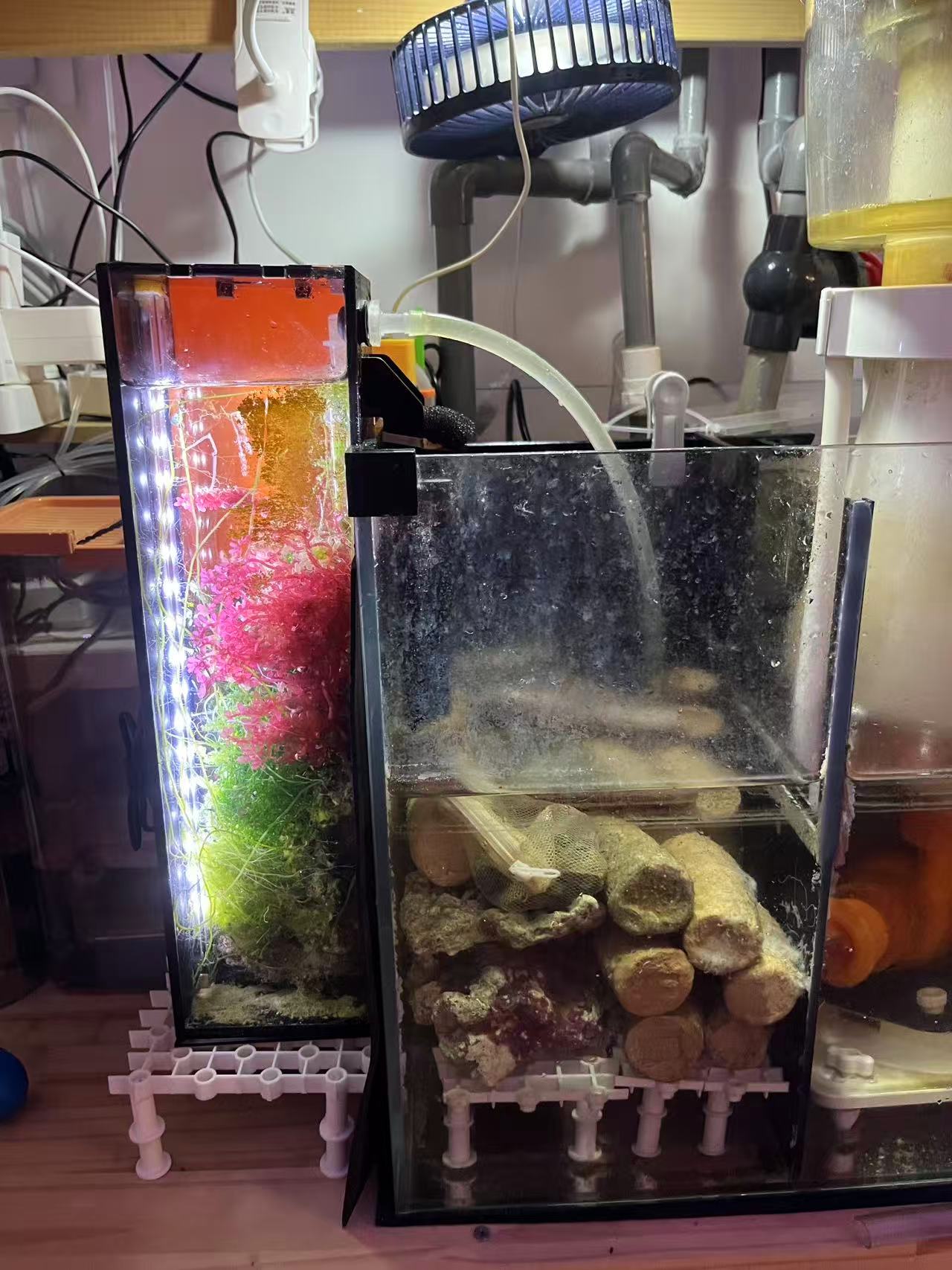 ΢��ͼƬ_20260603095313.jpg