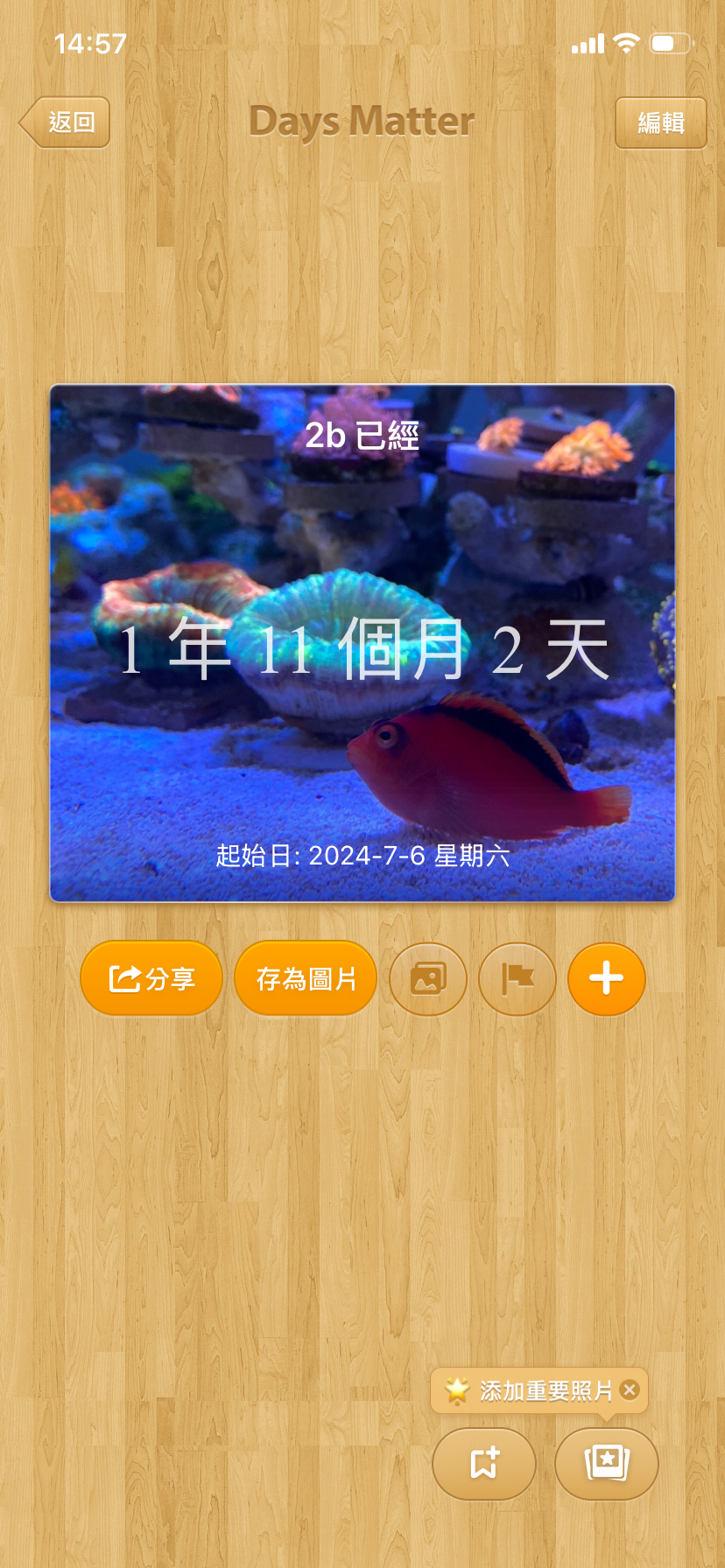 d2b54878-7033-43dc-8edc-bb846c788551.png