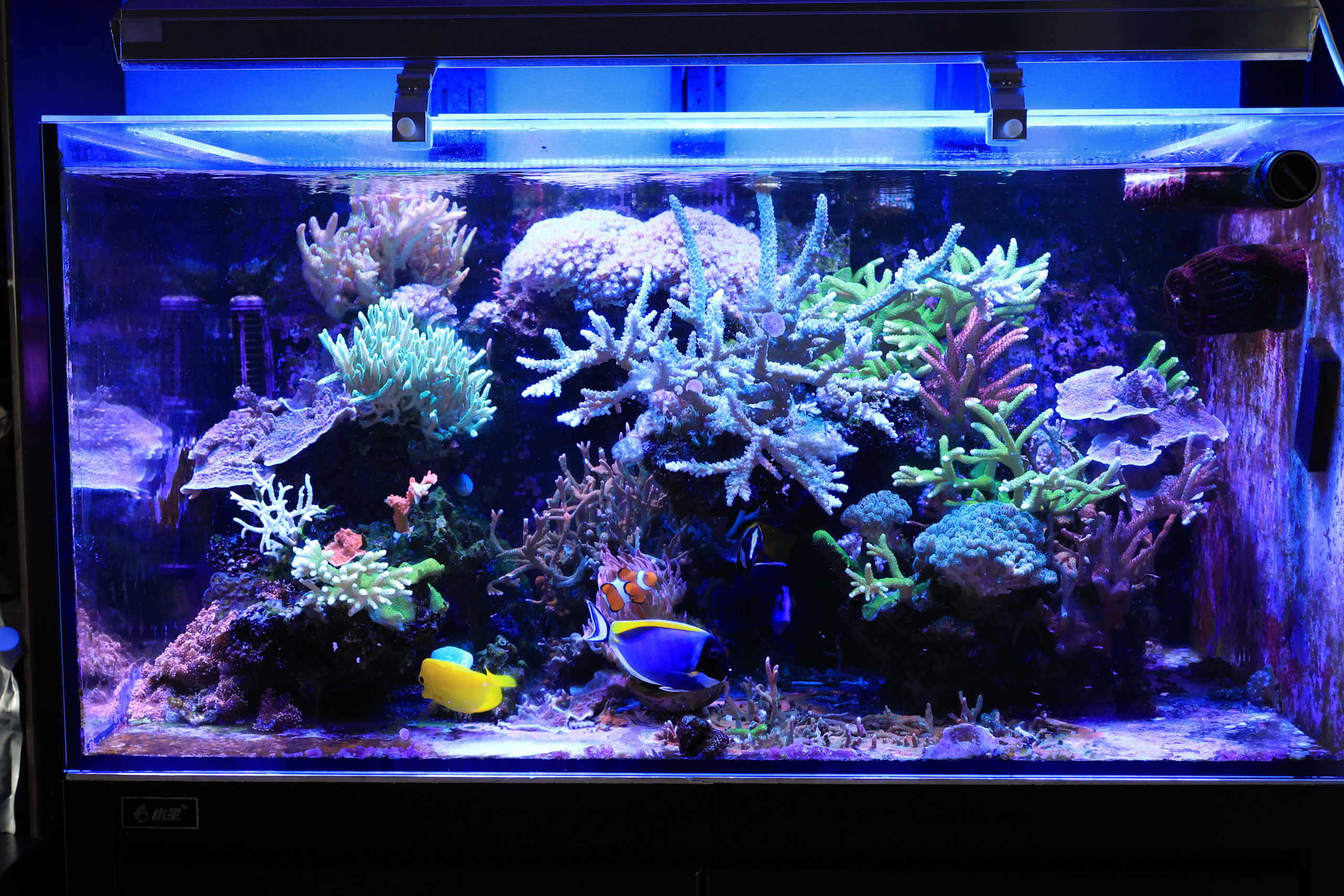 R52_7289.jpg