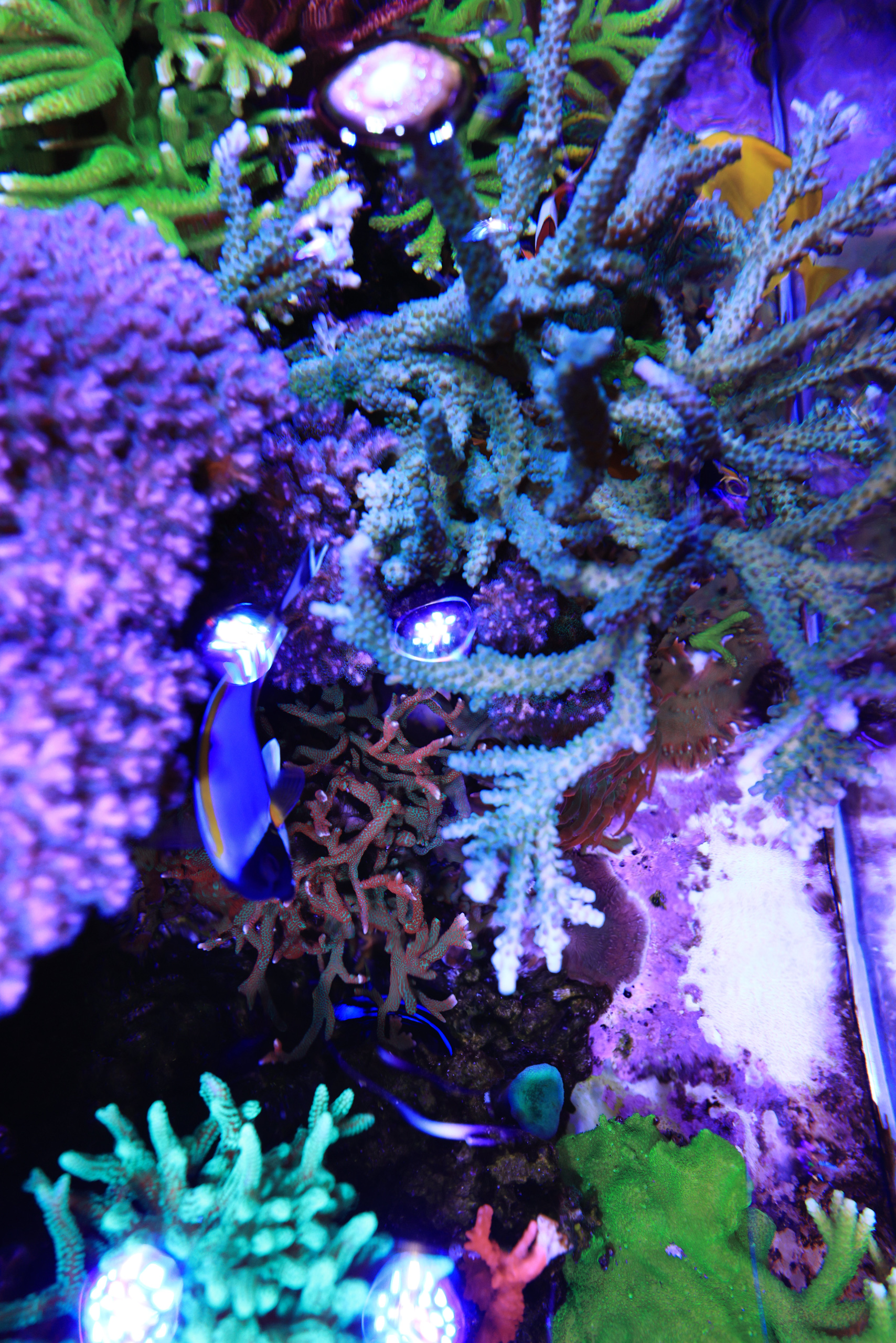R52_7258.jpg