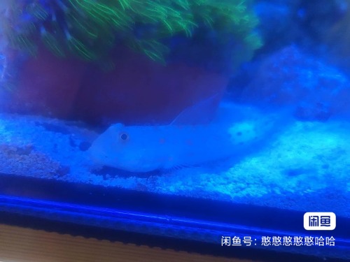 image_editor_1782136185115.jpg
