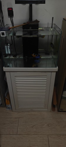 IMG20260626075848.jpg