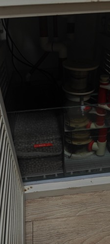 IMG20260626075915.jpg