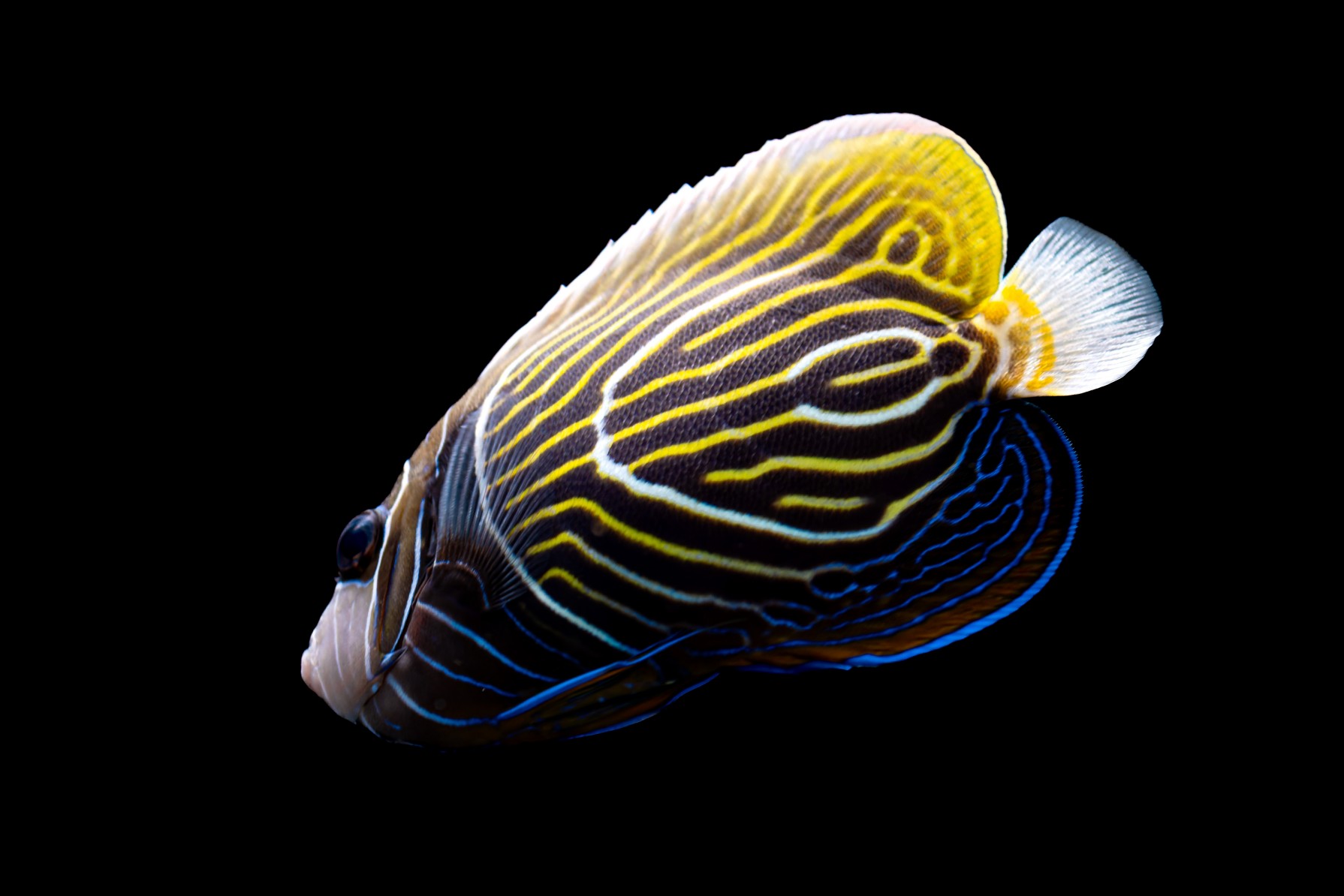 ΢��ͼƬ_20260626114646_283_12.jpg