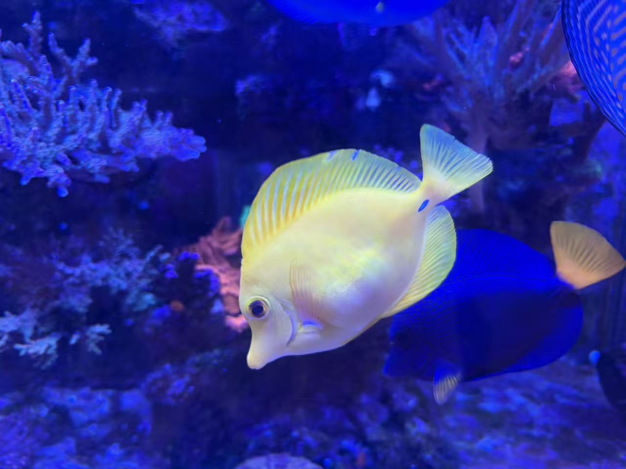 ͼƬ_20260628180731_5_136.jpg