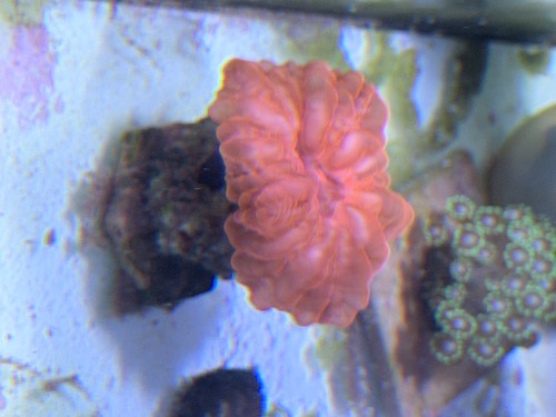 IMG_4015.jpeg