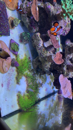 IMG_4094.jpeg