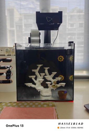 IMG20260720110152.jpg