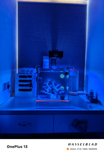 IMG20260720123854.jpg