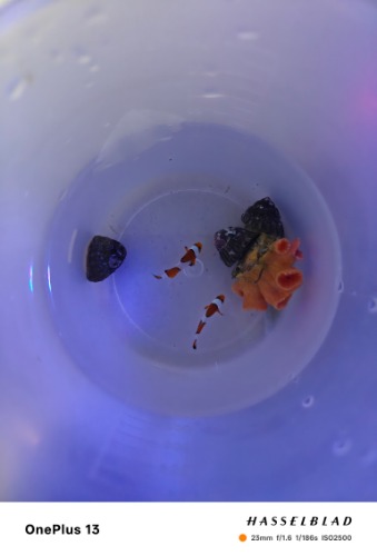 IMG20260721232638.jpg