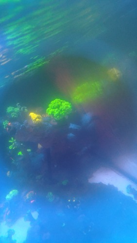 wx_camera_1784974748325.jpg
