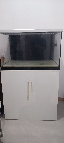 MVIMG_20260727_081709.jpg