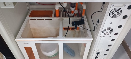 MVIMG_20260727_081733.jpg